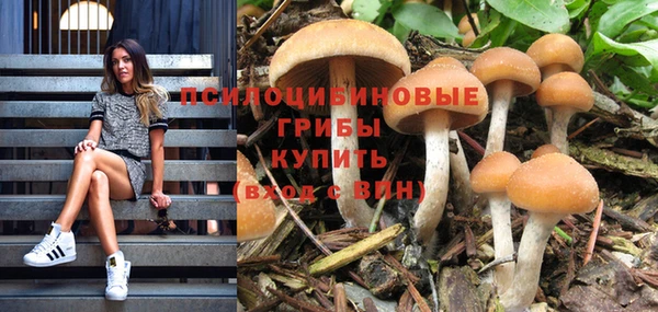 мдпв Мегион
