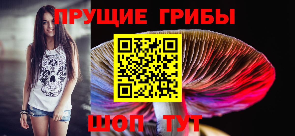 Галлюциногенные грибы Psilocybine cubensis Энгельс