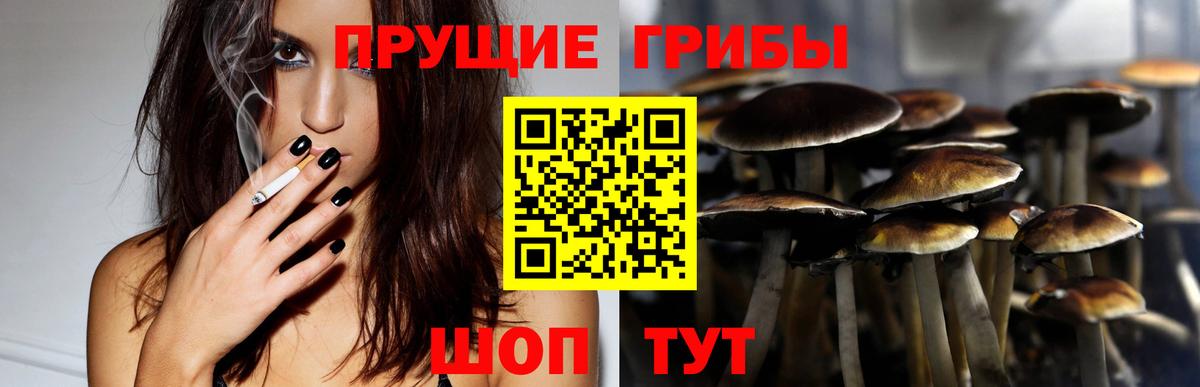 где можно купить наркотик  Вход с VPN  Энгельс  Псилоцибиновые грибы мицелий 